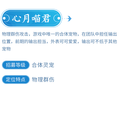 心月喵君